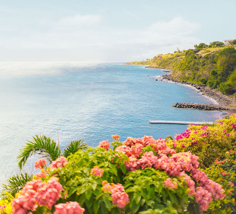 a body of water with a dock and flowers on the side