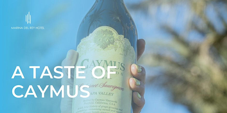 a hand holding a bottle of wine