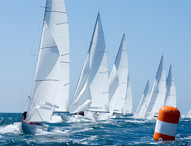 a group of sailboats in the water