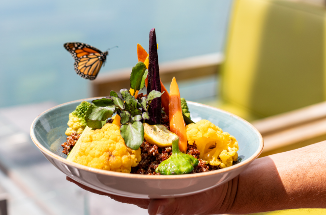 a butterfly flying over a bowl of vegetables