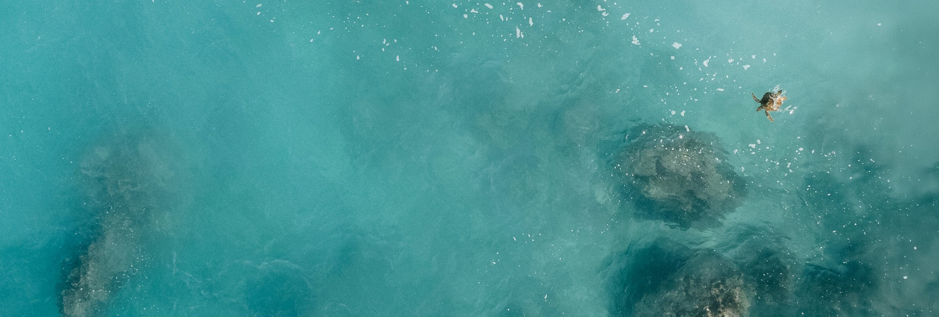 a blue water surface with white bubbles