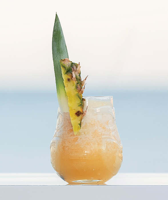 a glass with a drink and a pineapple slice on top