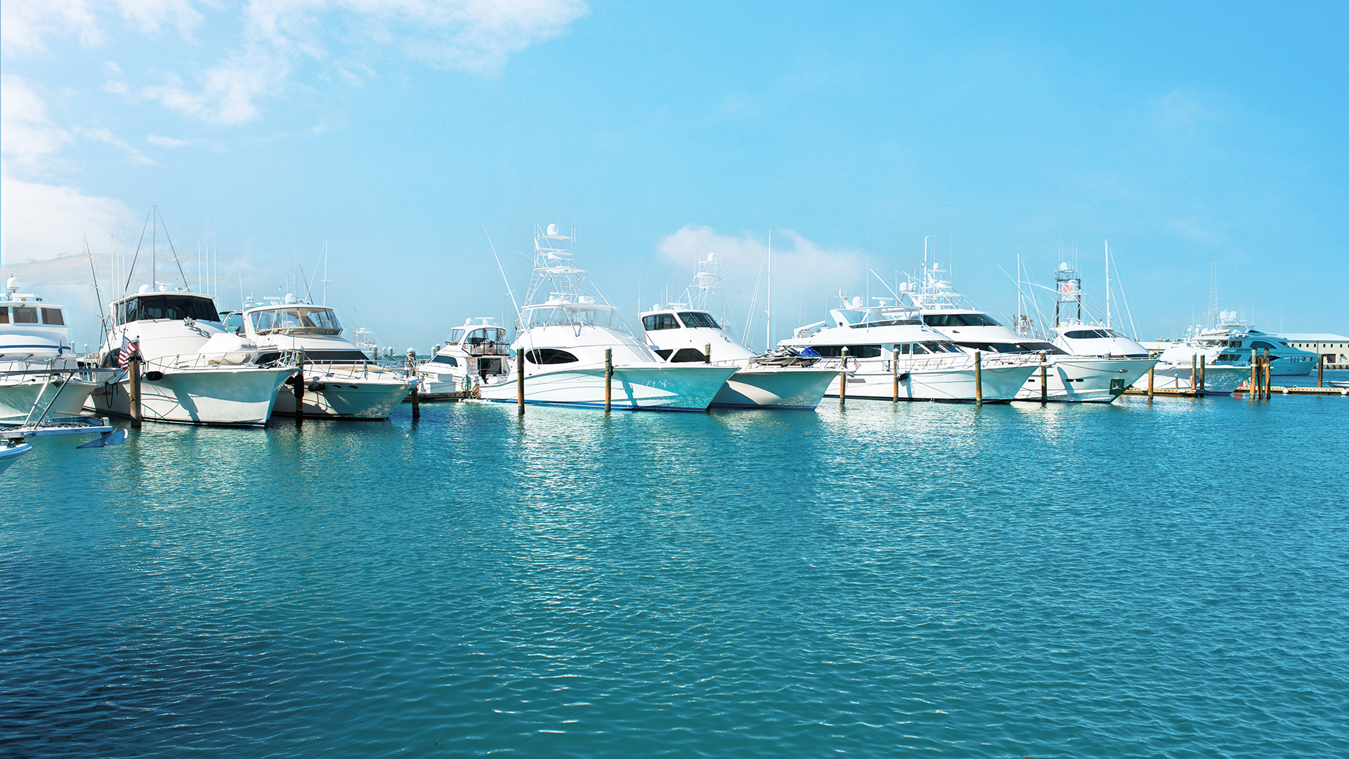 a group of boats in a harbor