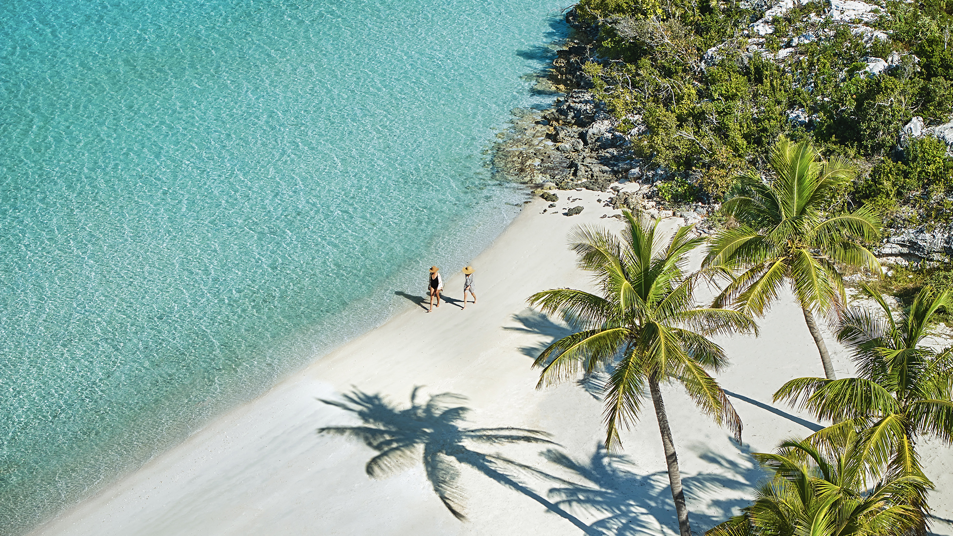 a couple of people walking on a beach