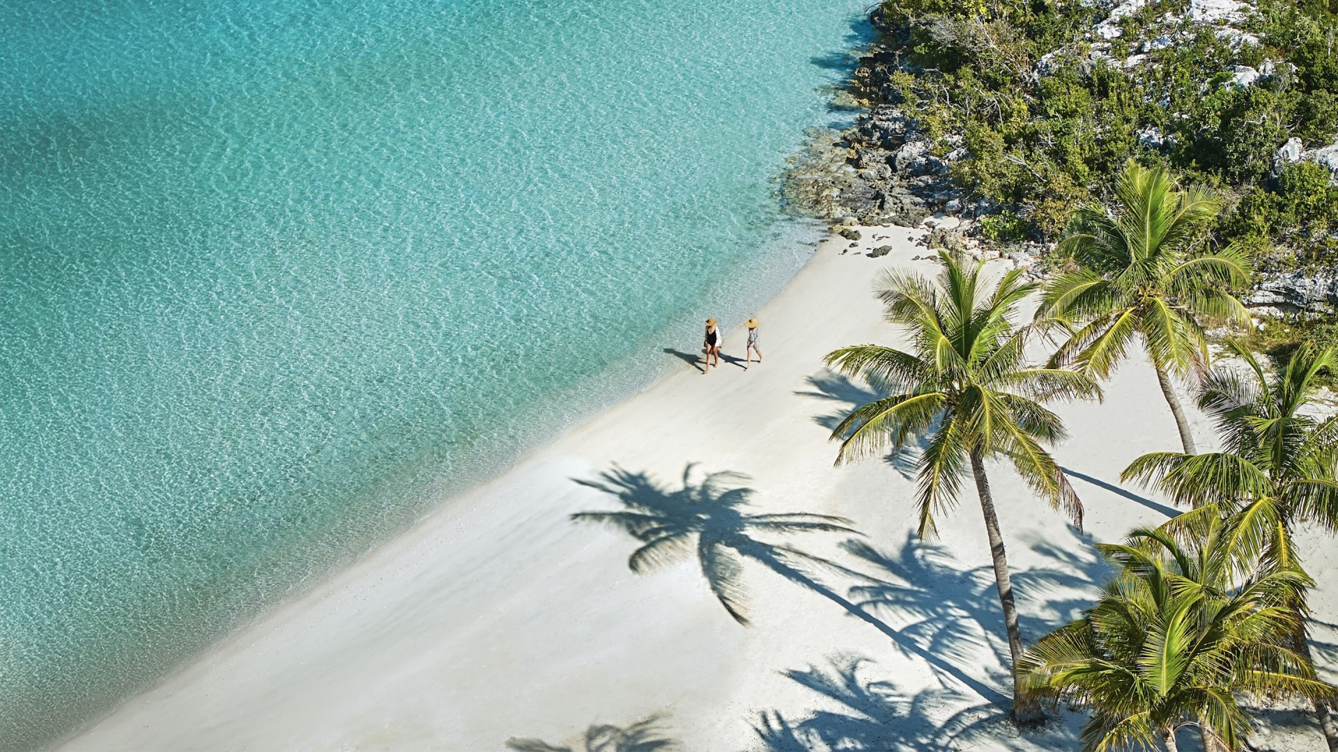 a couple of people walking on a beach