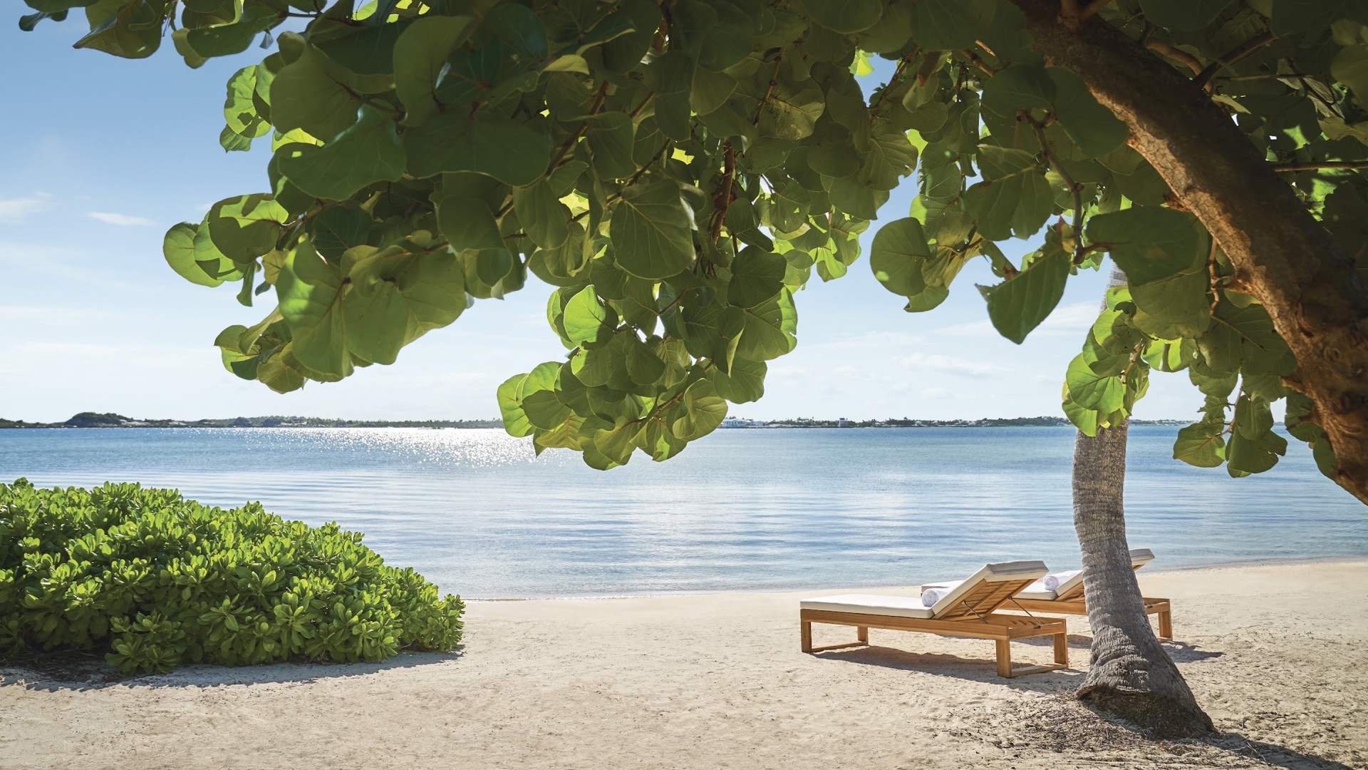 a beach chairs on a sandy beach