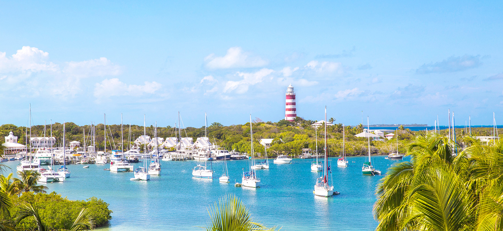 a group of boats in a harbor