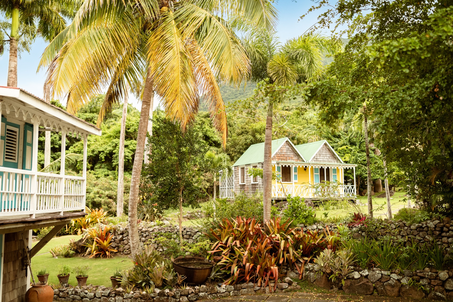 a house with palm trees and bushes