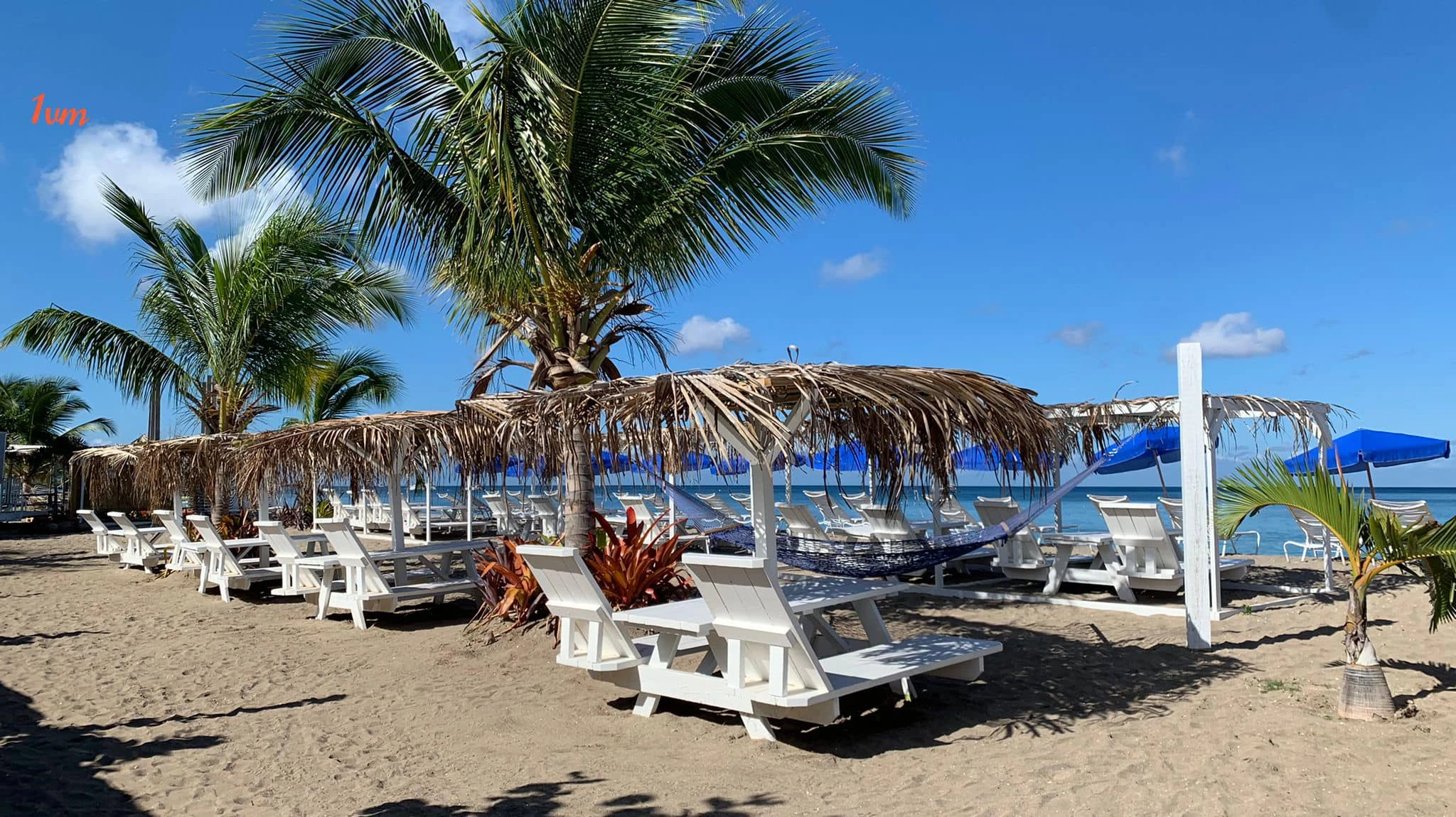 a beach with chairs and hammocks