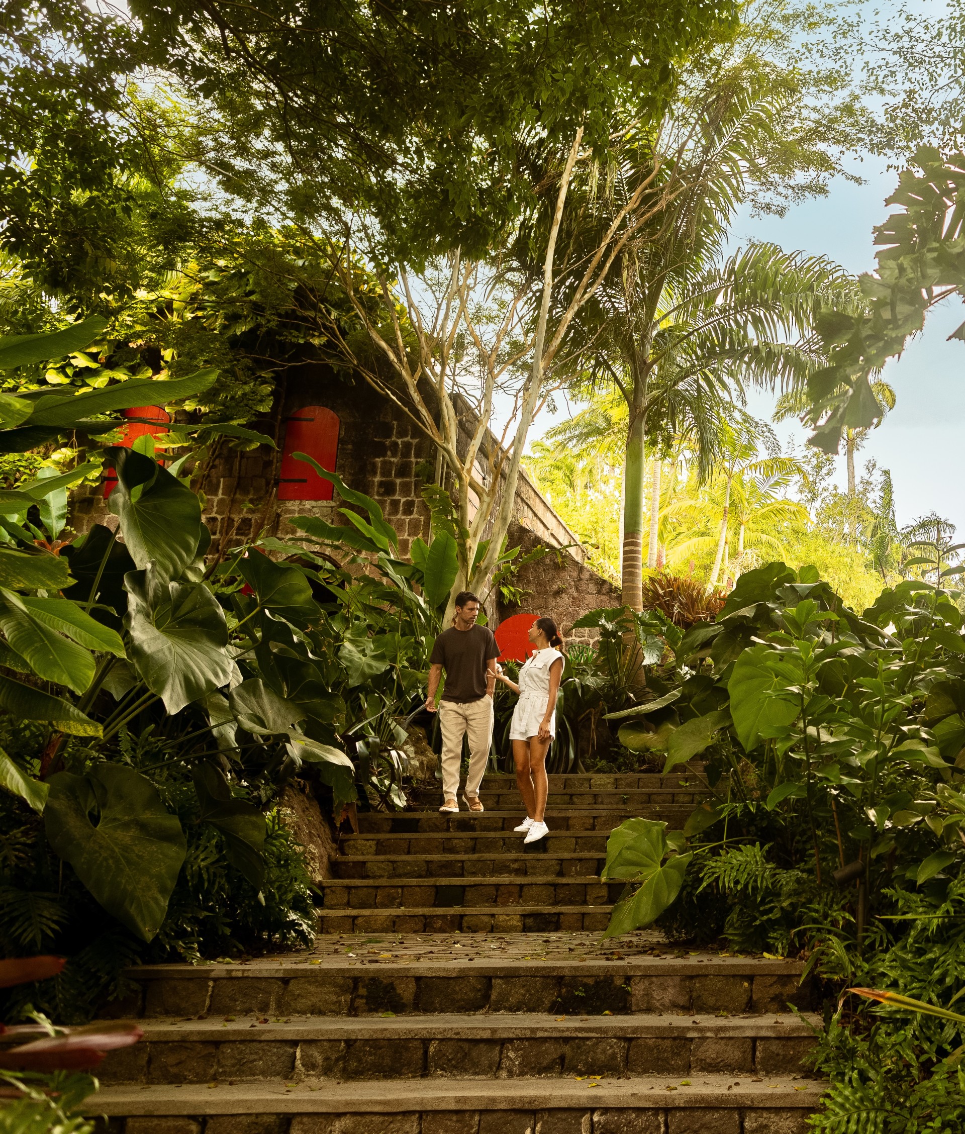 a man and woman walking up stairs in the jungle
