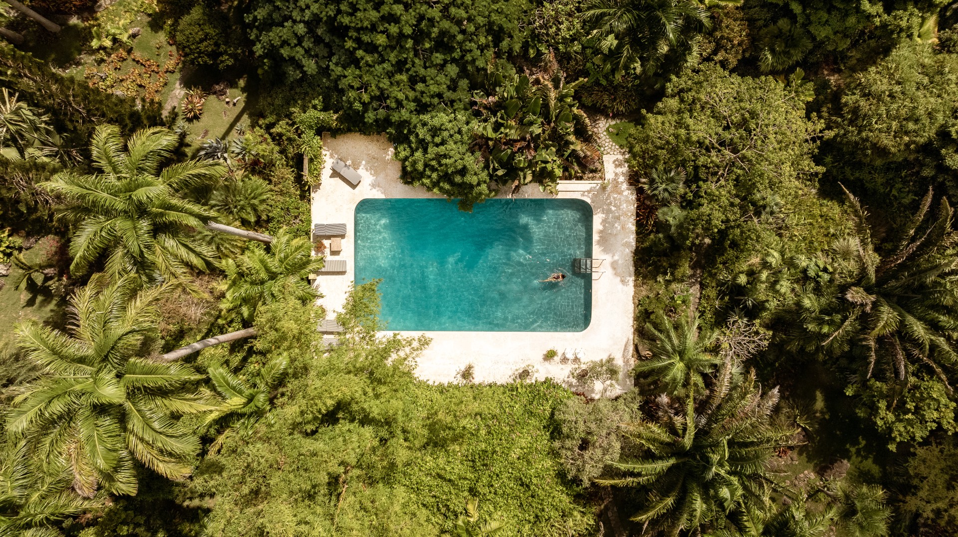a pool surrounded by trees