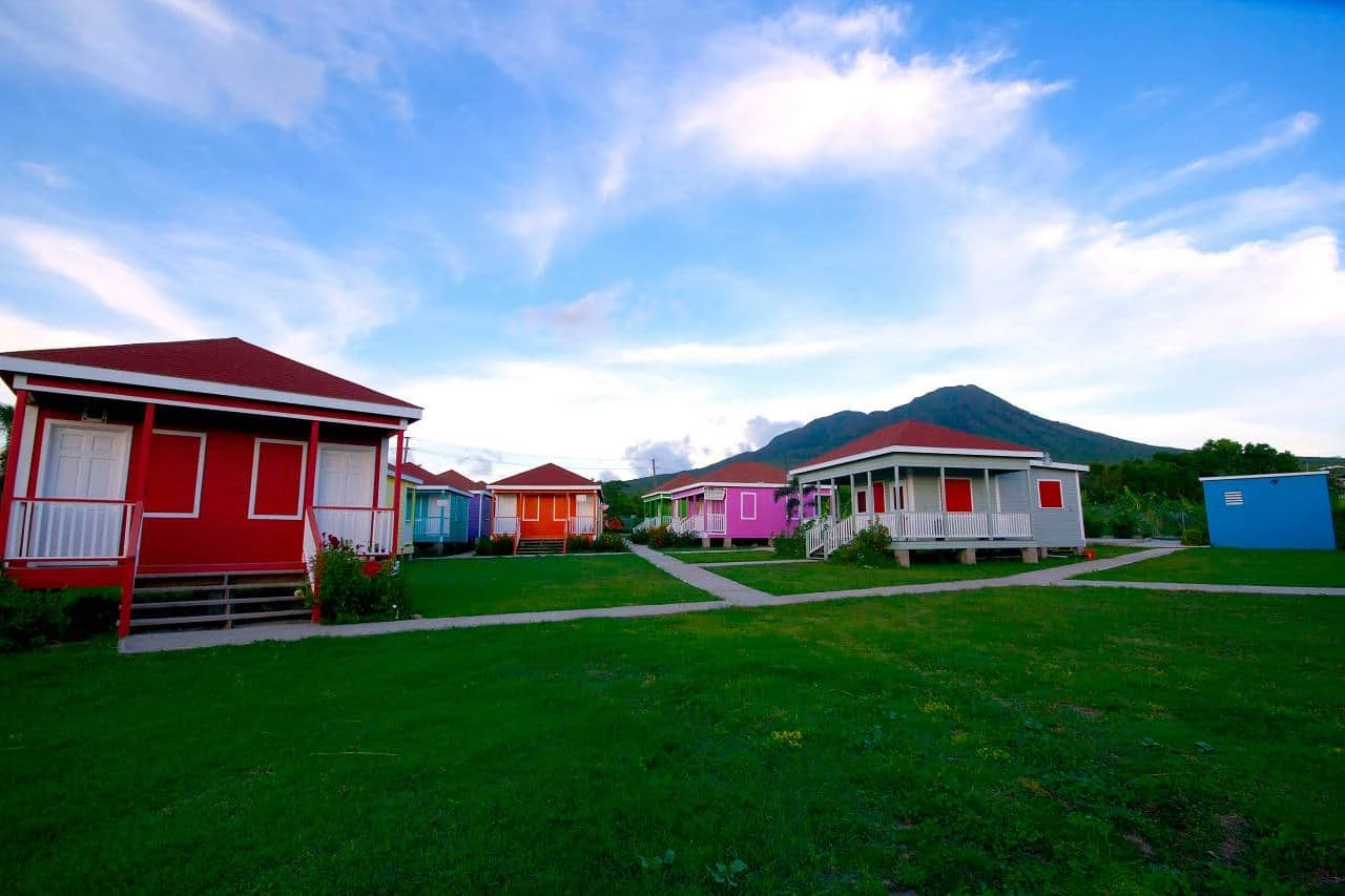 a row of houses in a grassy area
