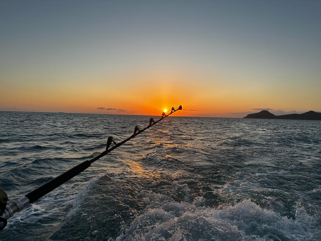 a fishing pole in the ocean