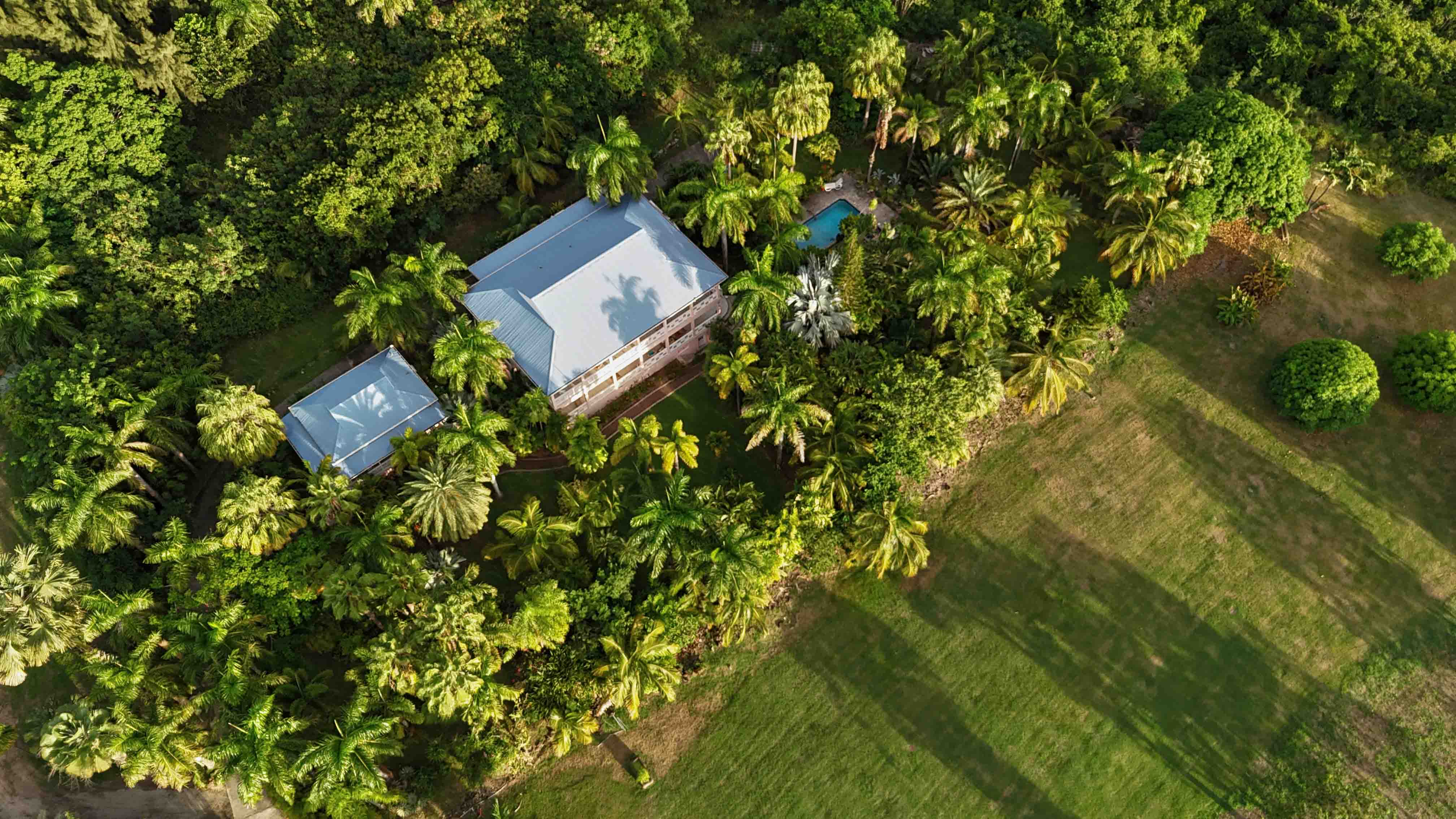 a house surrounded by trees