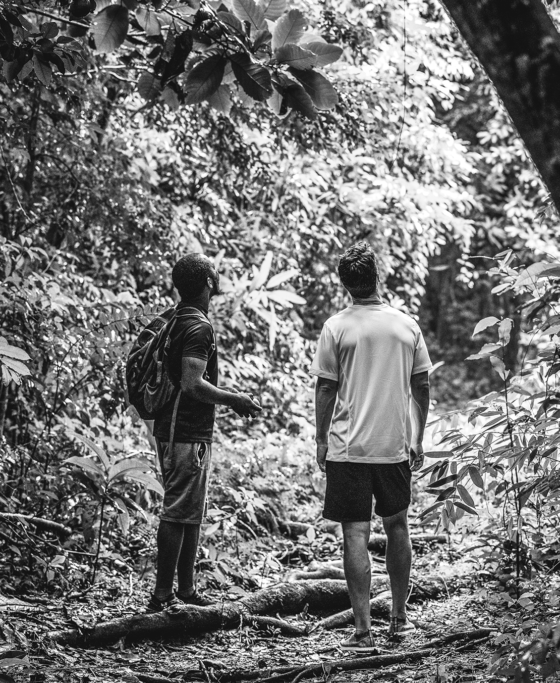 two men standing in a forest