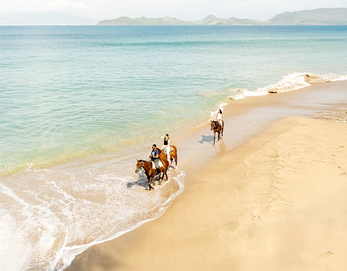 people riding horses on a beach