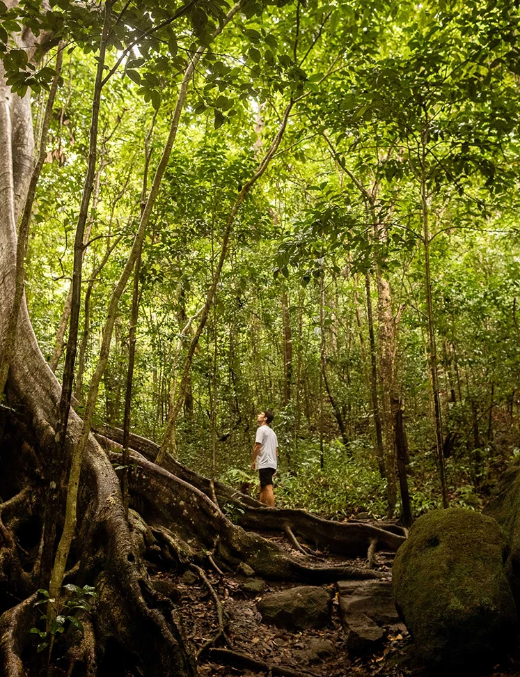 a man standing on a tree trunk in a forest
