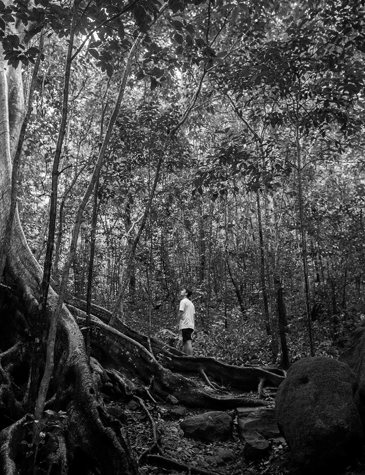 a person standing on a tree trunk in the woods