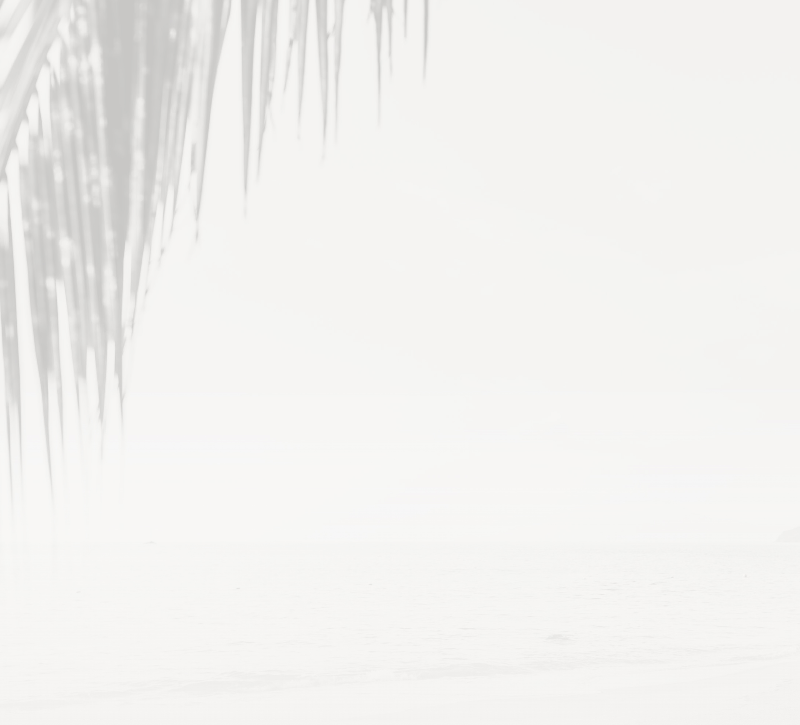 a white background with shadows of leaves