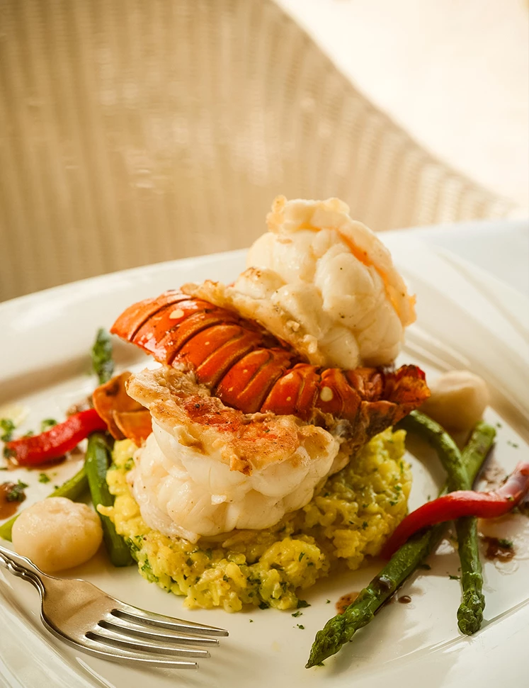 a plate of food with a fork