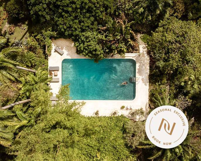 a swimming pool surrounded by trees