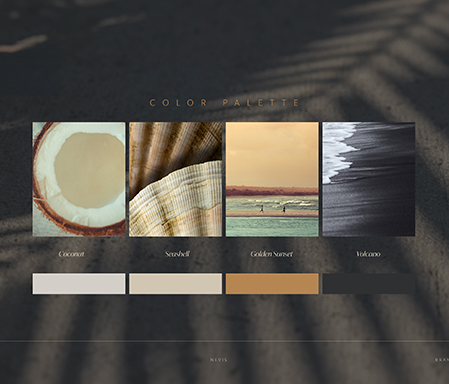 a screenshot of a color palette