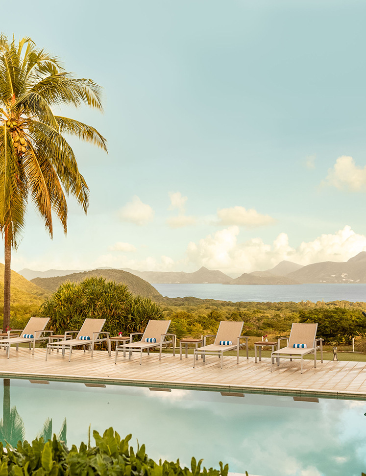 a pool with chairs and a palm tree