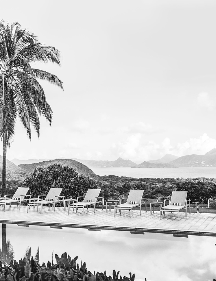 a pool with chairs and palm trees