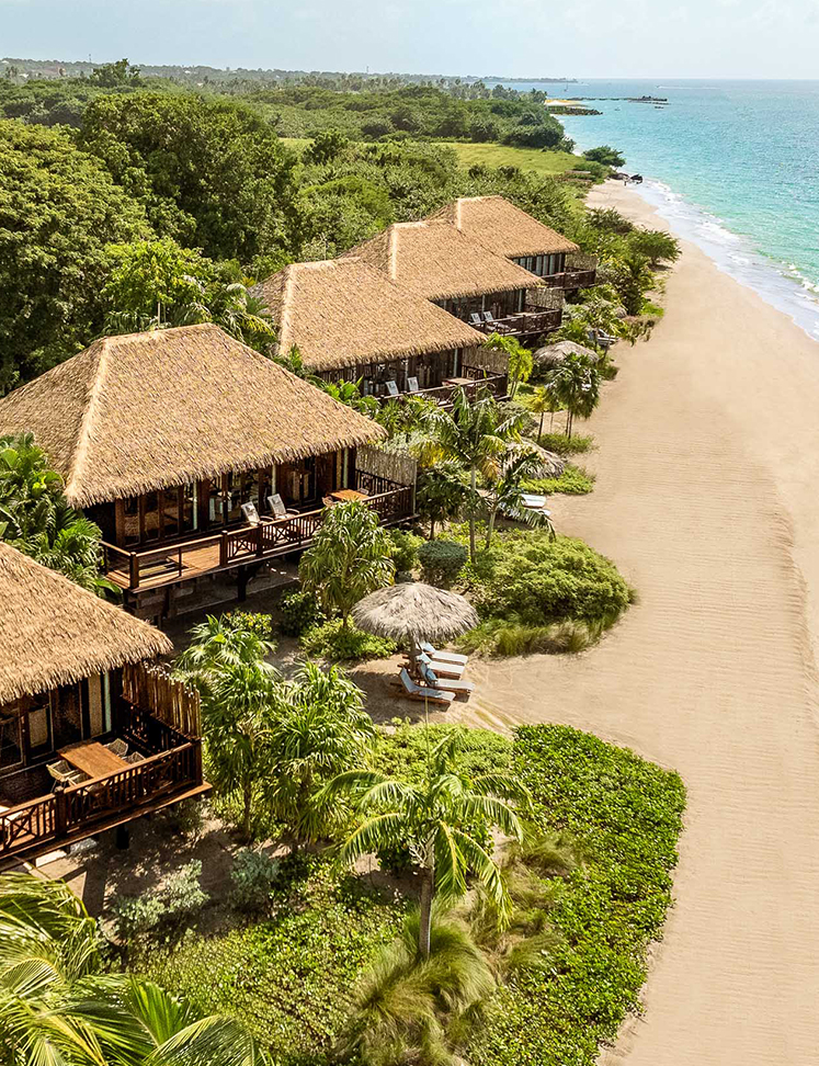 a beach with houses and trees