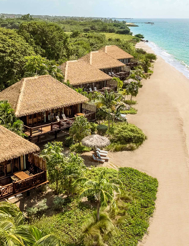 a beach with houses and trees