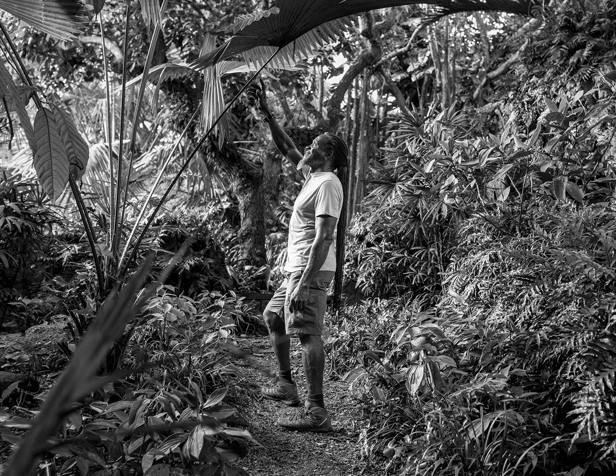 a man standing in a forest