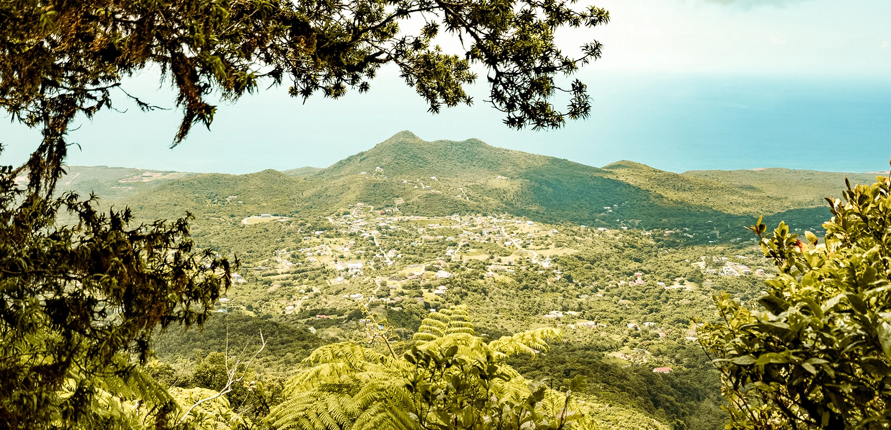 a view of a valley with trees and mountains