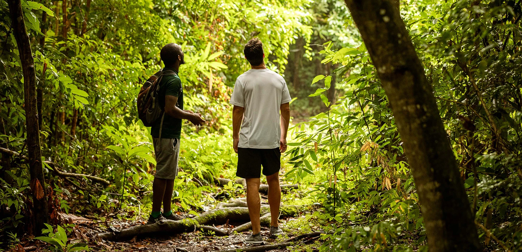 two men standing in a forest