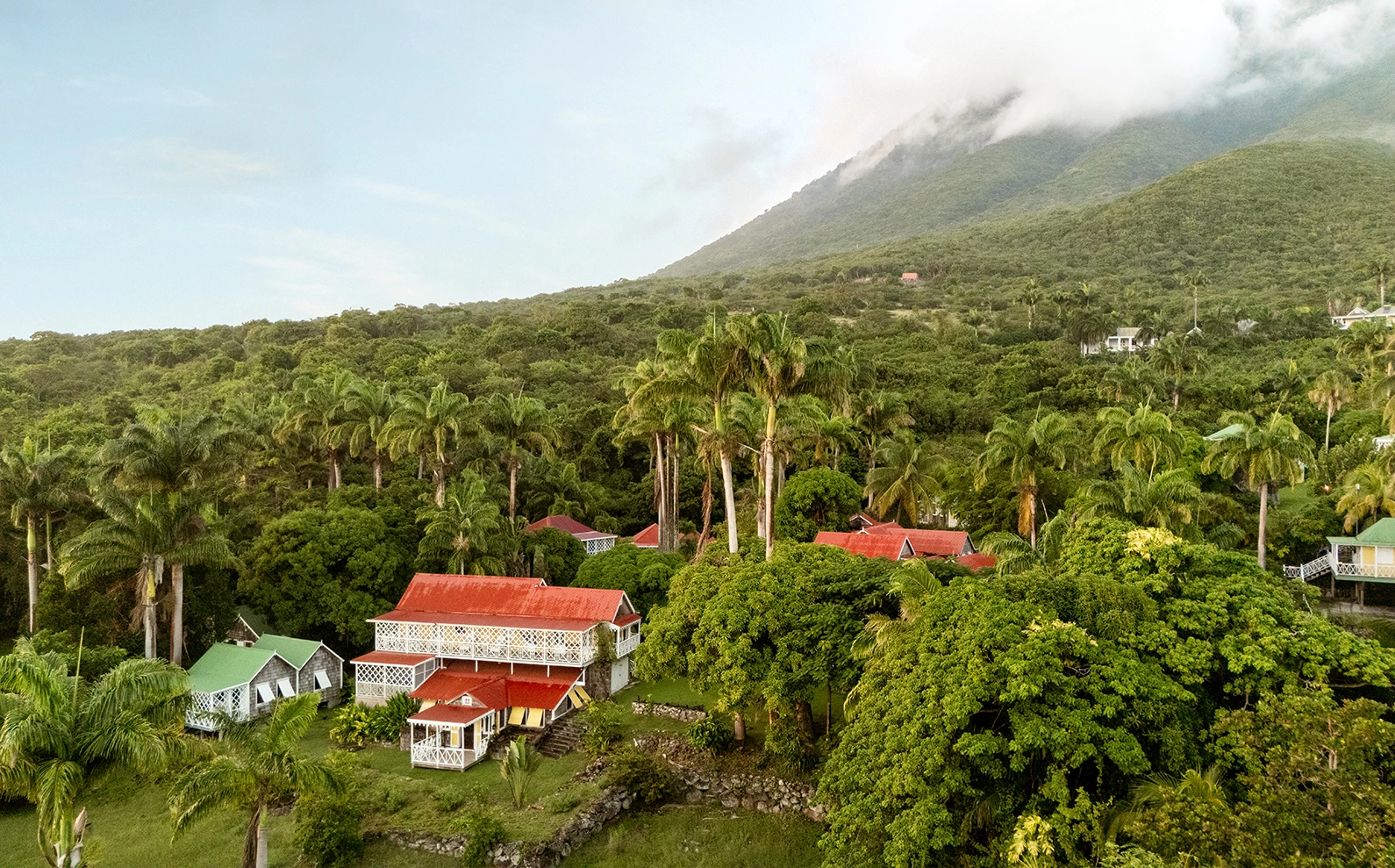 a group of houses in a forest