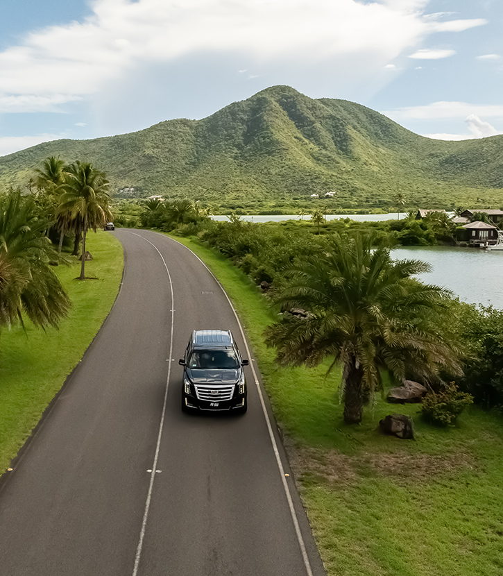 a car driving on a road with palm trees and a lake