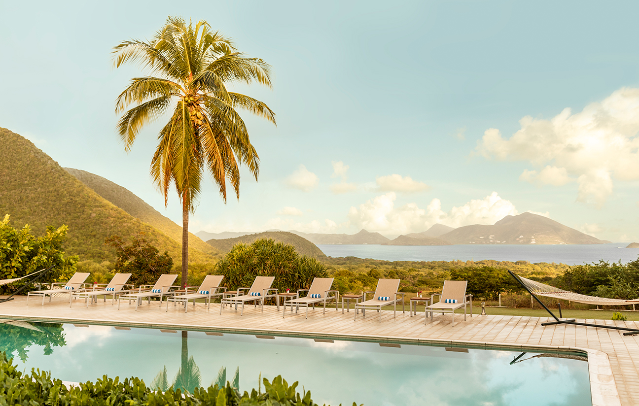 a pool with chairs and a palm tree