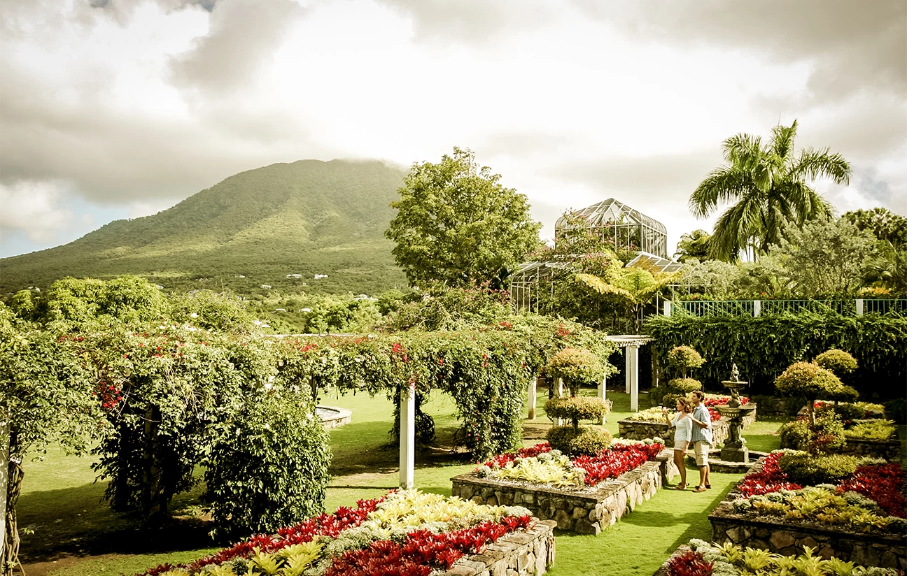 a group of people standing in a garden