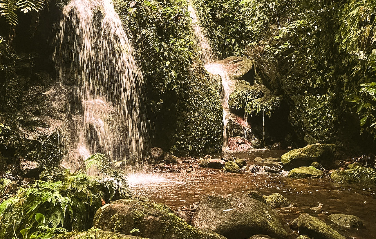 a waterfall in a forest