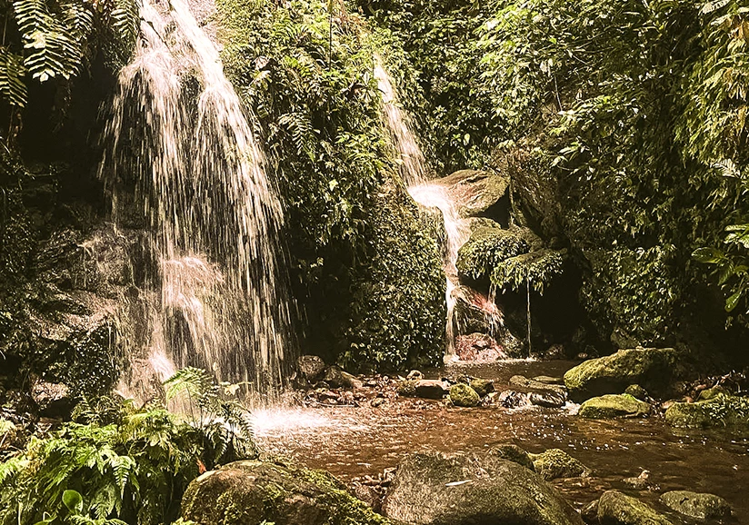 a waterfall in a forest