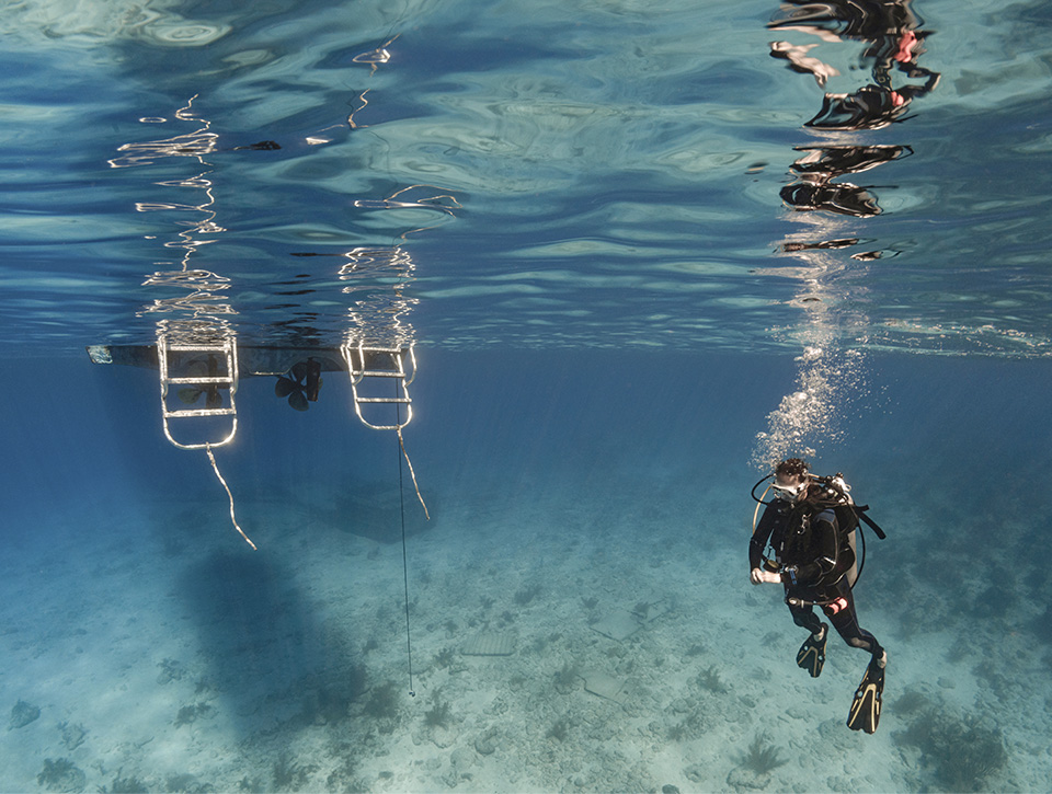a scuba diver under water