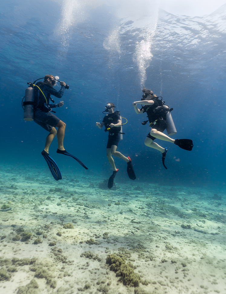 a group of people diving underwater