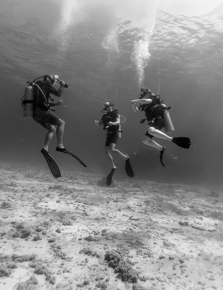 a group of scuba divers underwater