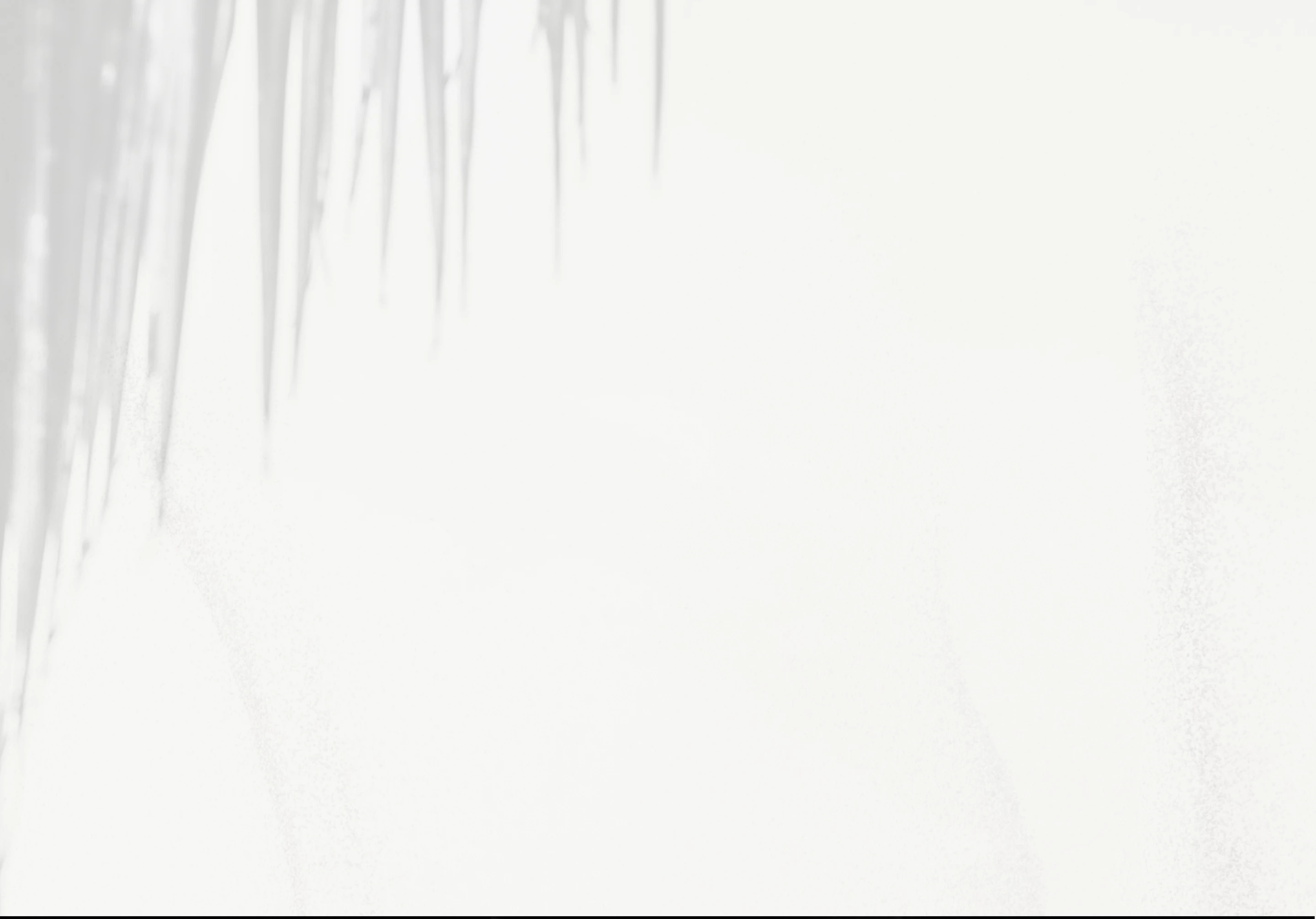 a shadow of a plant on a white surface