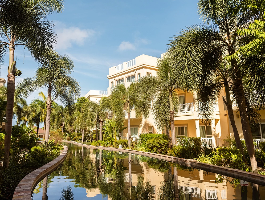 a water way with palm trees and buildings in the background