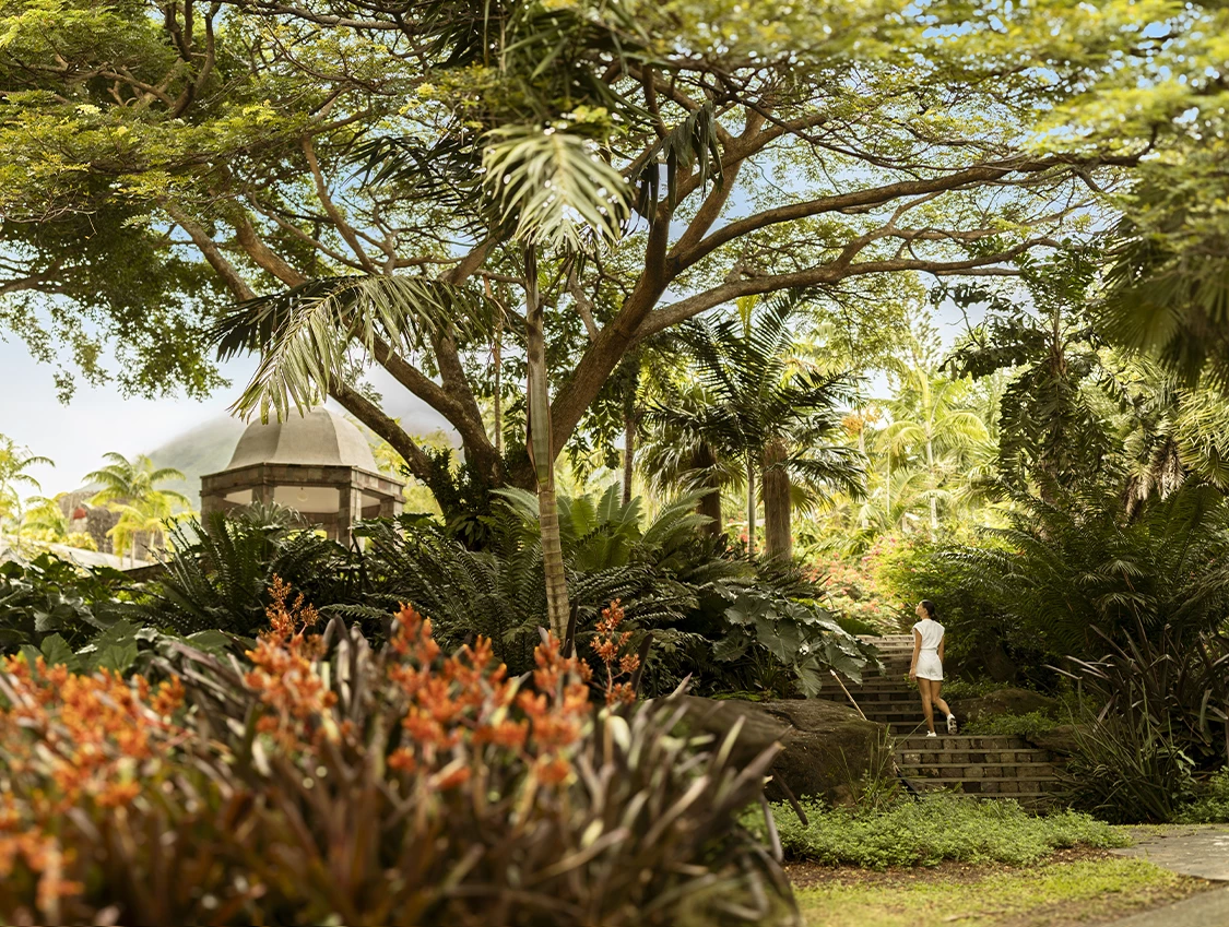 a woman walking up stairs in a park