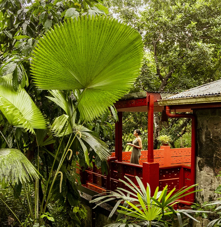 a woman standing on a balcony in a tropical garden