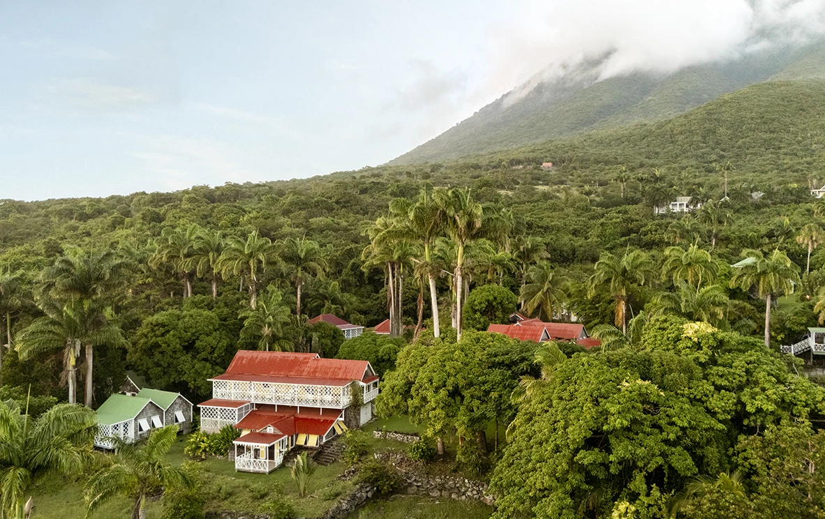 a house surrounded by trees