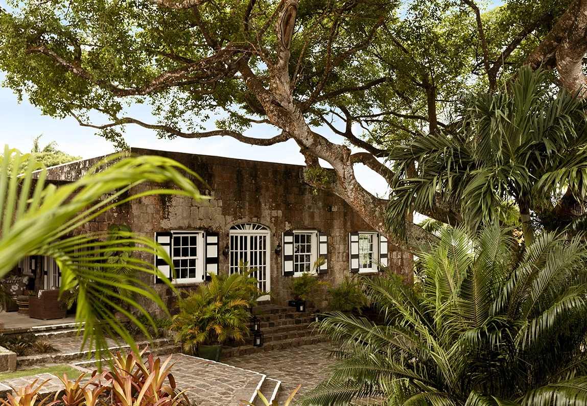 a building with trees and plants around it