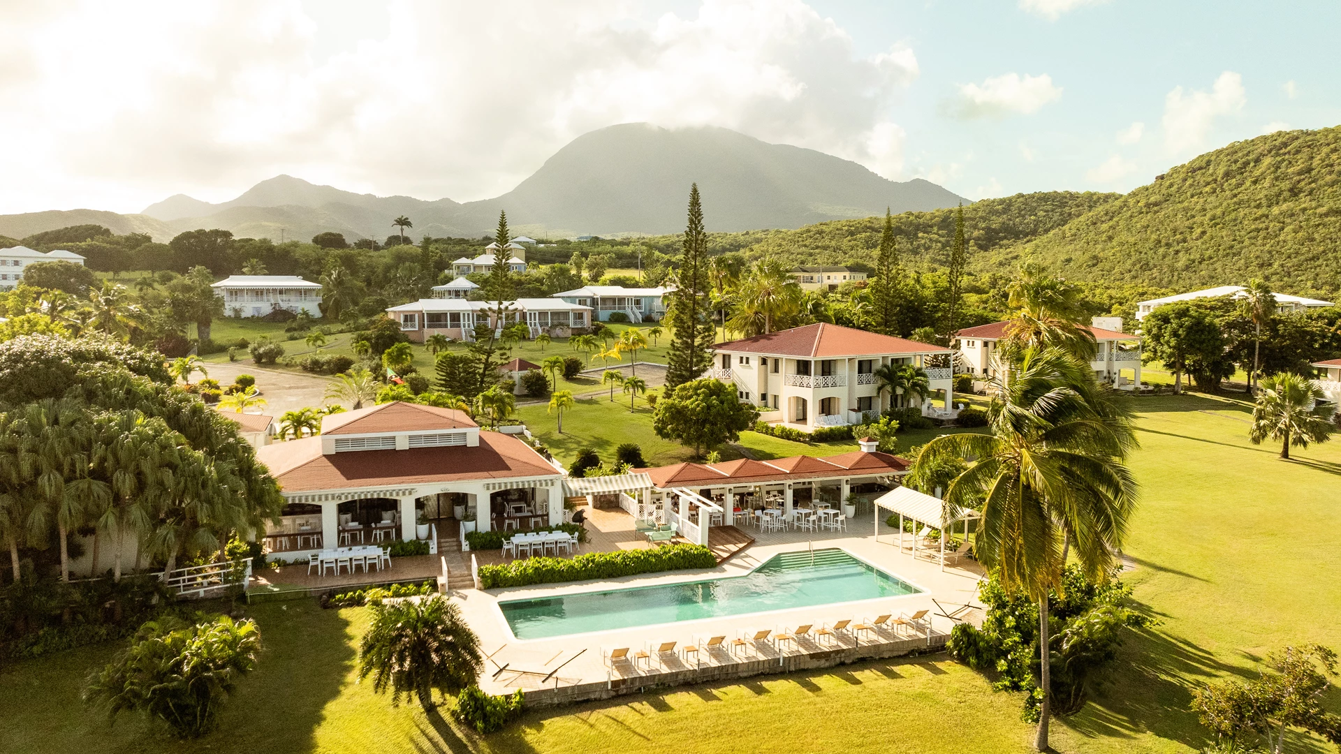 a pool with chairs and a palm tree