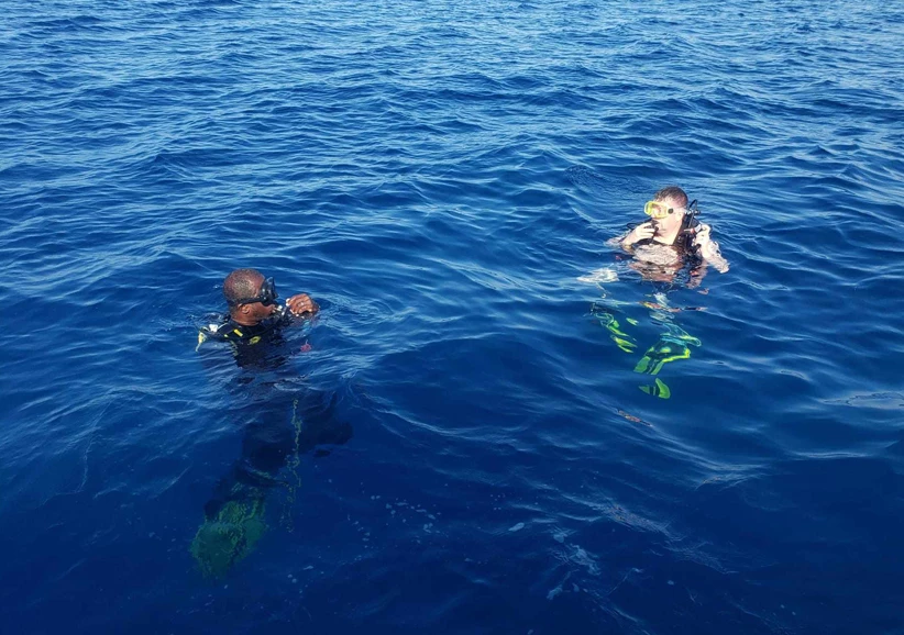 a group of people swimming in the water